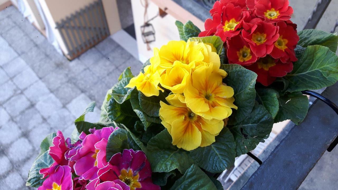 At Home In Cremona Exterior photo